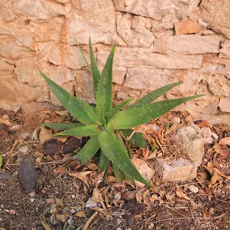 Holiday home House With Wifi *