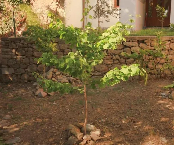 Holiday home House With Wifi Mali Losinj