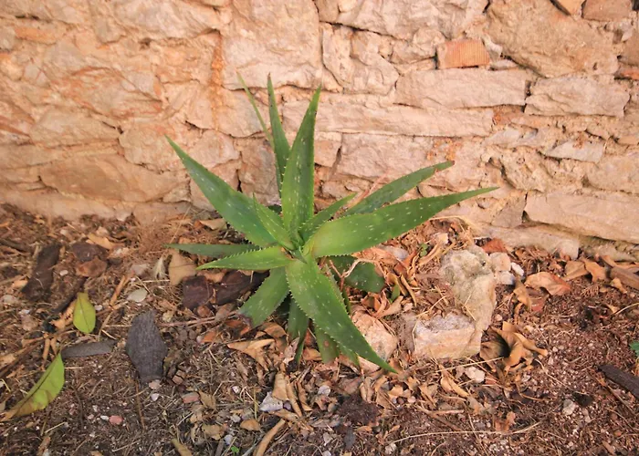 Holiday home House With Wifi *